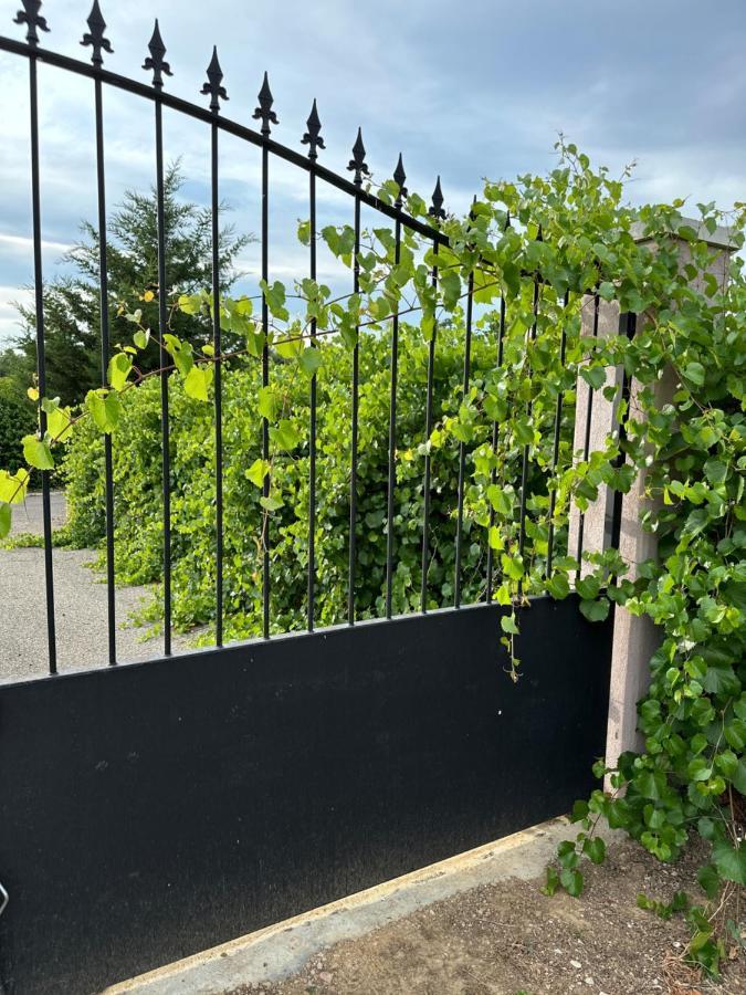 La Villa Du Rayol Saint Maximin Eksteriør billede
